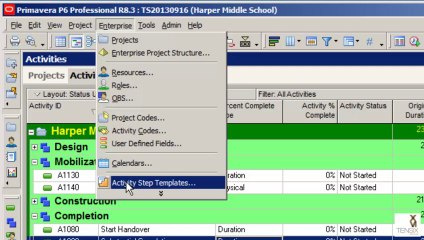 Primavera P6 Professional Progress Activities Using Steps