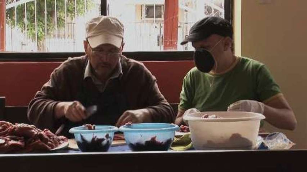 Cesars Grill - Trailer (deutsche Untertitel) HD