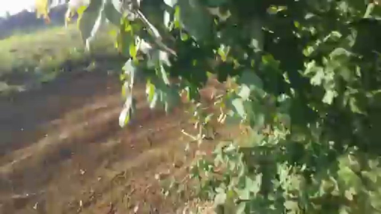 alex speciale test gasgas ec 125