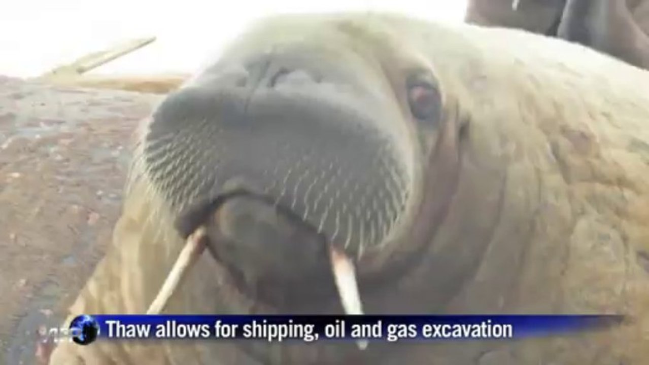 Climate change visible at the Arctic Laptev Sea