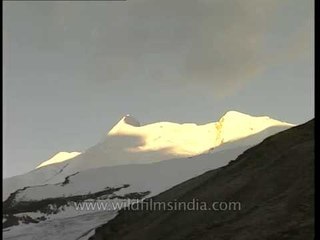 Gangotri peaks as seen from Rudragaira, in evening light of sunset