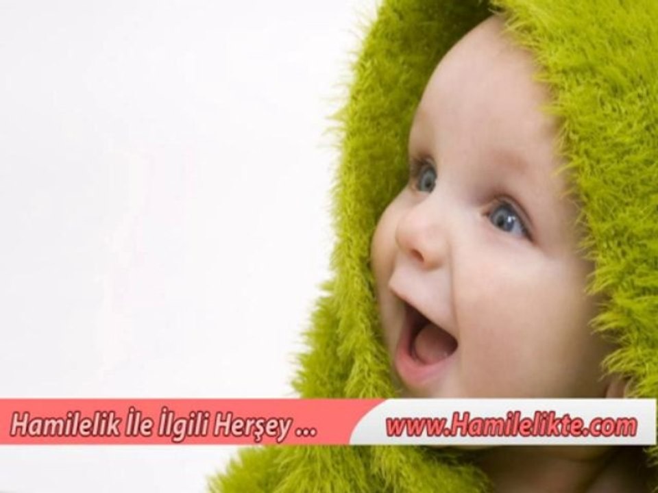 Hafta Hafta Gebelik Gelişimi