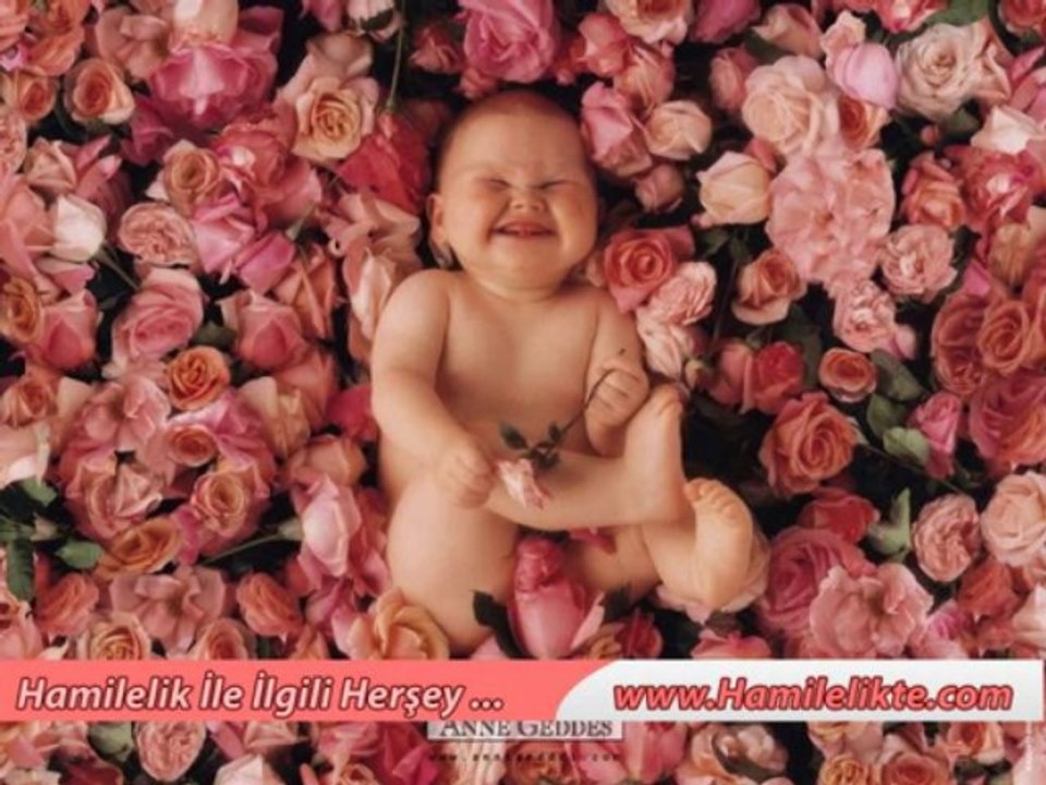 Hafta Hafta Gebelik