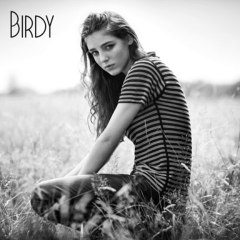 Birdy - Fire Within  (chronique album)
