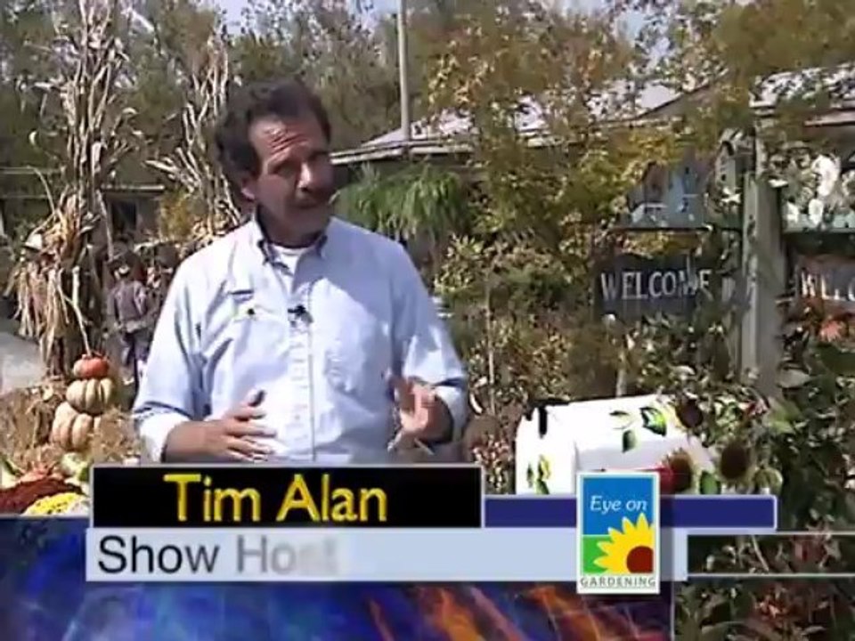 Custom Landscape and Design Part 1