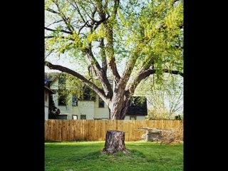 Cognitive Calculus: Perceptions & Personal Growth