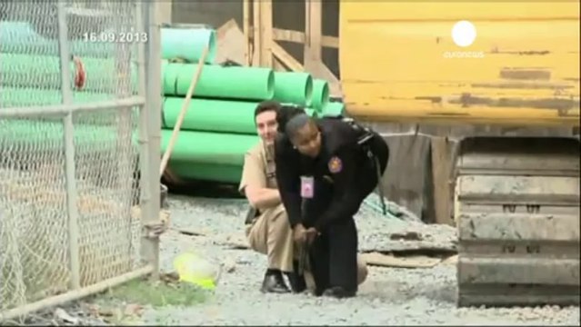 Navy Yard Washington: Fbi diffonde video autore strage