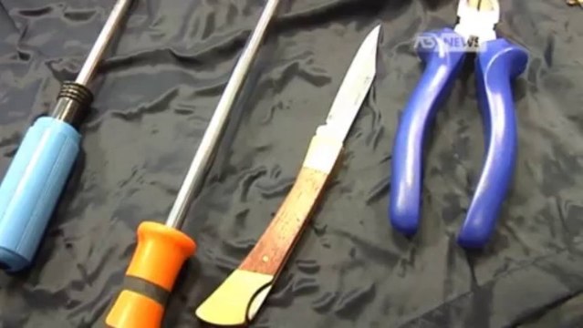 INSEGUIMENTO E POI LE BOTTE: LADRI ARRESTATI