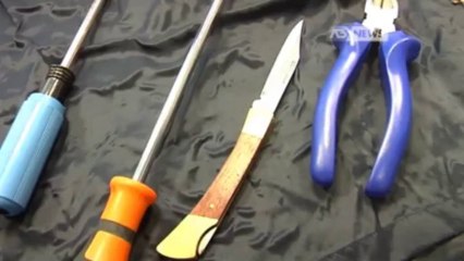 INSEGUIMENTO E POI LE BOTTE: LADRI ARRESTATI