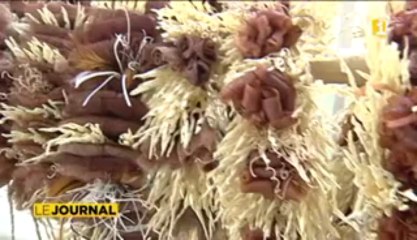 Sortie du dernier livre d’Hinanui Cauchois sur le tressage polynésien