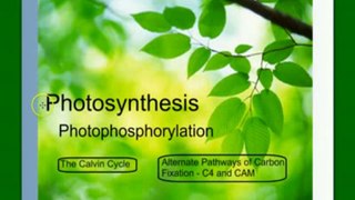 Photosynthesis Part 3- Photophosphorylation