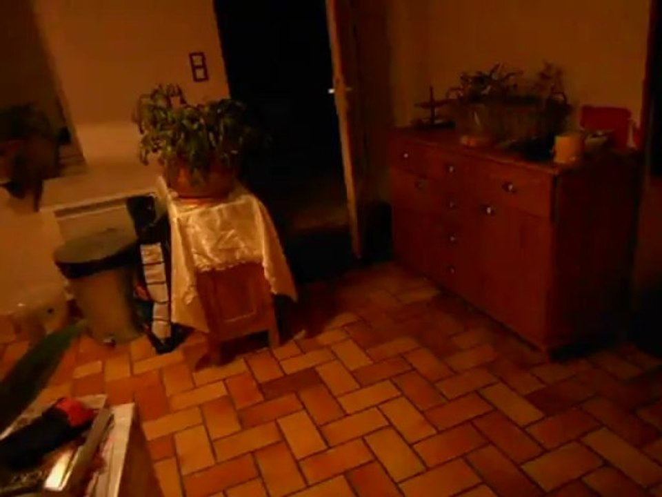 DSCN1295