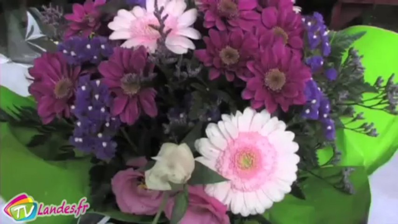 Accueil des nouveaux soustonnais -130925