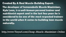 The Muscle Maximizer Kyle Leon   The Muscle Maximizer Fitness And Training Guide