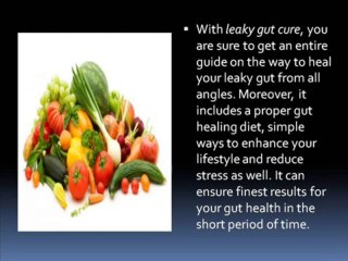 Leaky Gut Cure Review - Health Review Center