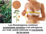 Como hacer crecer los senos naturalmente AUMENTO DE BUSTO NATURAL