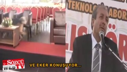 Sizin canınız kıymetli de Mehmetçiğinki değil mi!