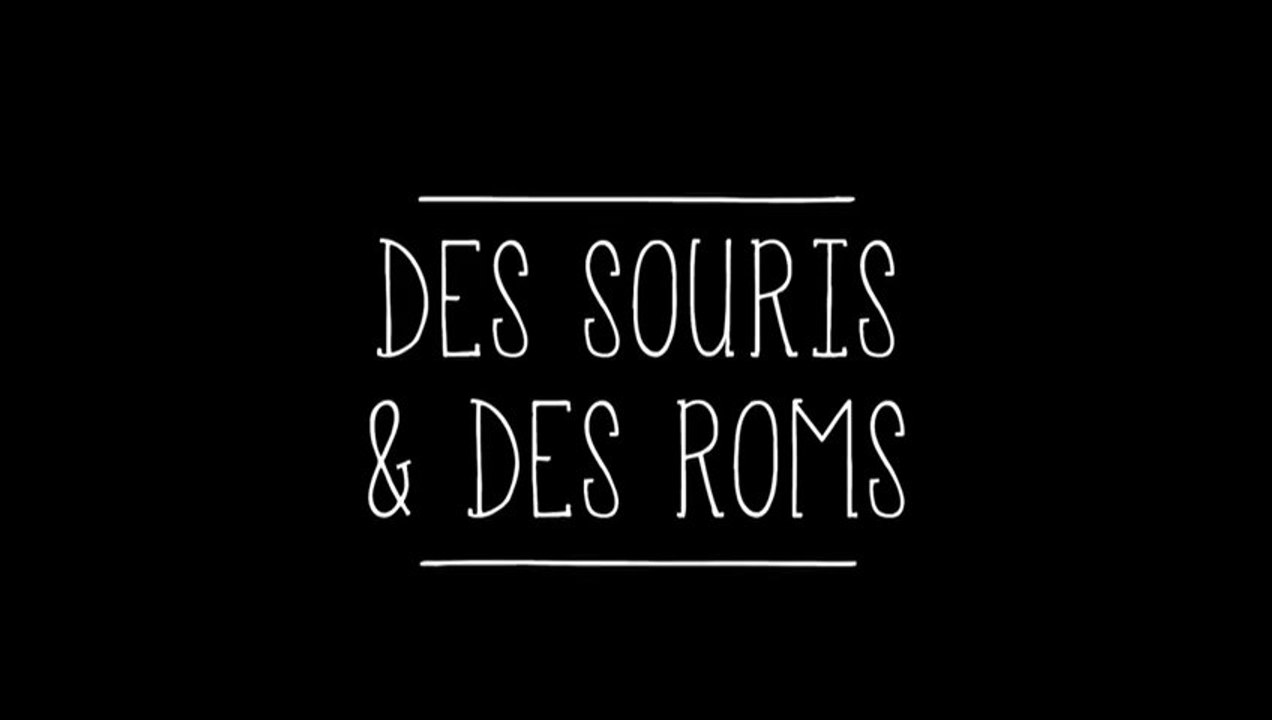 "Des souris et des Roms" : immersion dans une communauté en Transylvanie