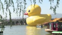 Giant rubber duck continues world tour in Beijing