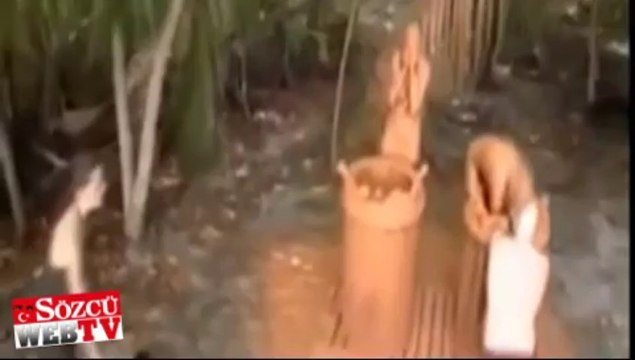 Bikinisi böyle düştü