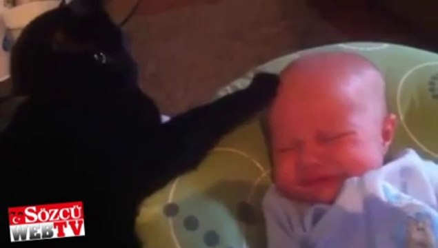 Bu kedi bebeğe öyle bir şey yapıyor ki