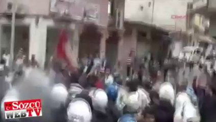 Yasak kalktı dehşet ortaya çıktı