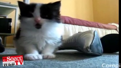 Uykuya dayanamayanlar…