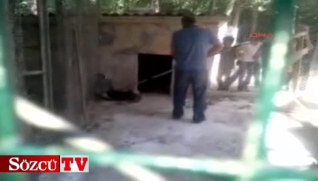 Hayvanseverler mesire alanını bastı