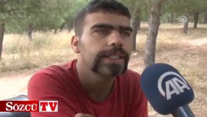 Bu pitbull matematik biliyor