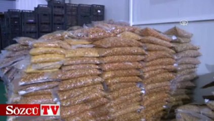 Sebze ve meyvenin cipsini yaptılar