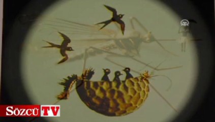 Mikro minyatür sergisi