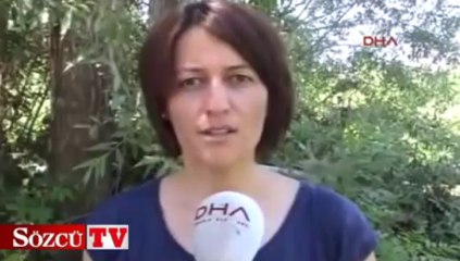 Bu kedinin annesi bir hindi