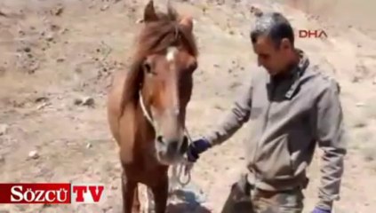 Saatlerce kurtarılmayı bekledi