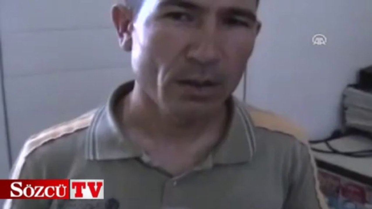 Yolda balık fosili buldu