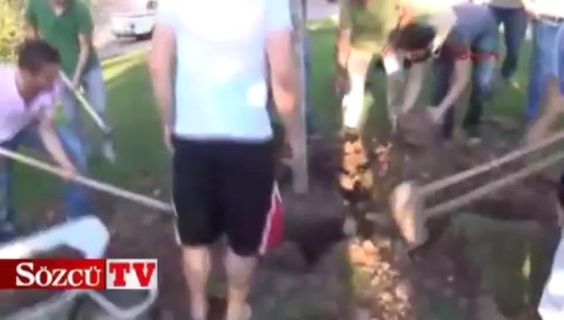 Gezi olaylarında ölenler için 5 fidan dikildi