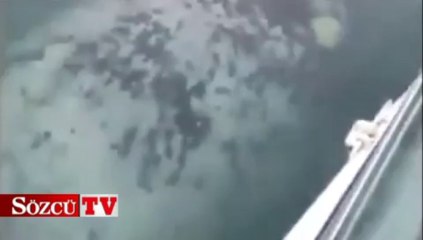 Denizde korku dolu anlar