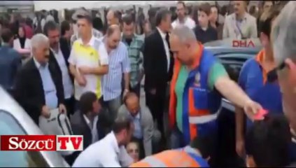 Download Video: Yarış atı izleycileri arasına daldı: 3 yaralı