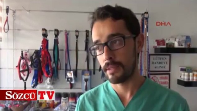 Köpeğin bebeği kurtarma çabası!