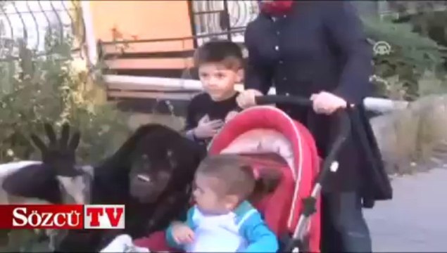 Yunanların korkulu rüyası “Tülütabaklar”