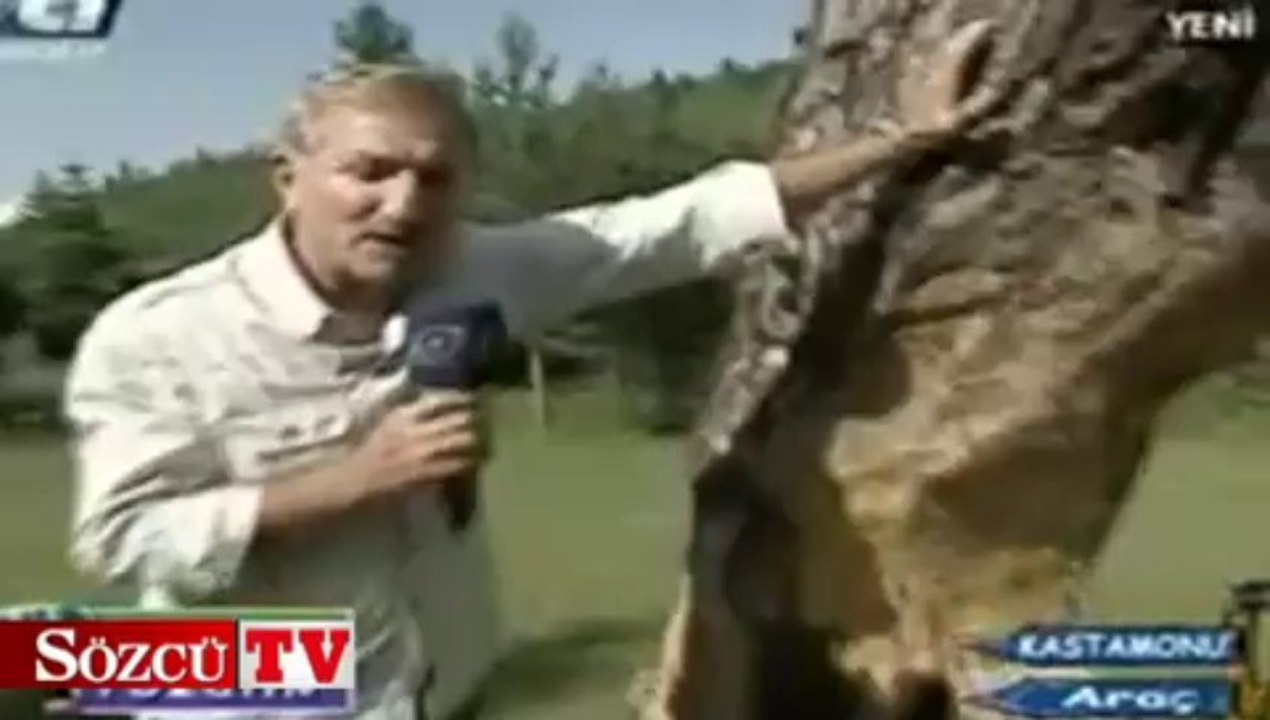 Üşengeç vatandaş bakın ağaca ne yapmış