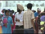 Devotees wait for their turn to pay obeisance at Golden Temple