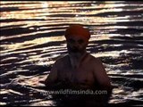 A Sikh devotee pays obeisance as he takes a dip in the holy pond - Golden Temple