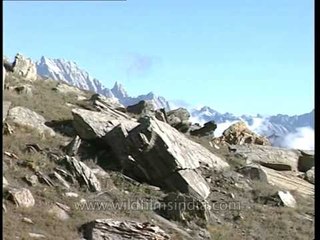 Jogin spires and Gangotri peaks as seen from Rudragaira slopes