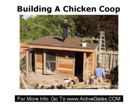 Building A Chicken Coop - How to Make Portable Chicken Coop