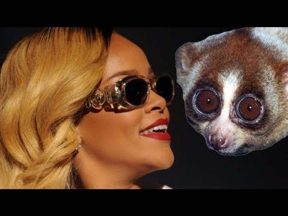 Rihanna posts selfie with cute slow loris in Thailand, two arrested