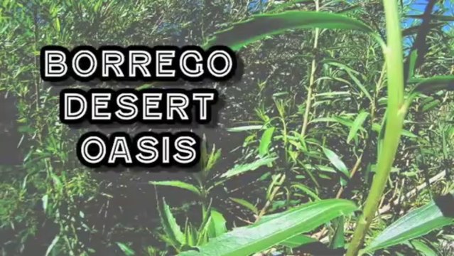 Xcorps TV presents ANZA - On The Trail of an Extreme Explorer