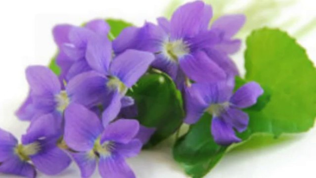 † Meditácie Ľubomíra Stančeka - 15. pondelok Mt 10,34-11,1 | Ježišove požiadavky