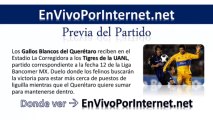 Queretaro vs Tigres En Vivo Liga MX Apertura 2013