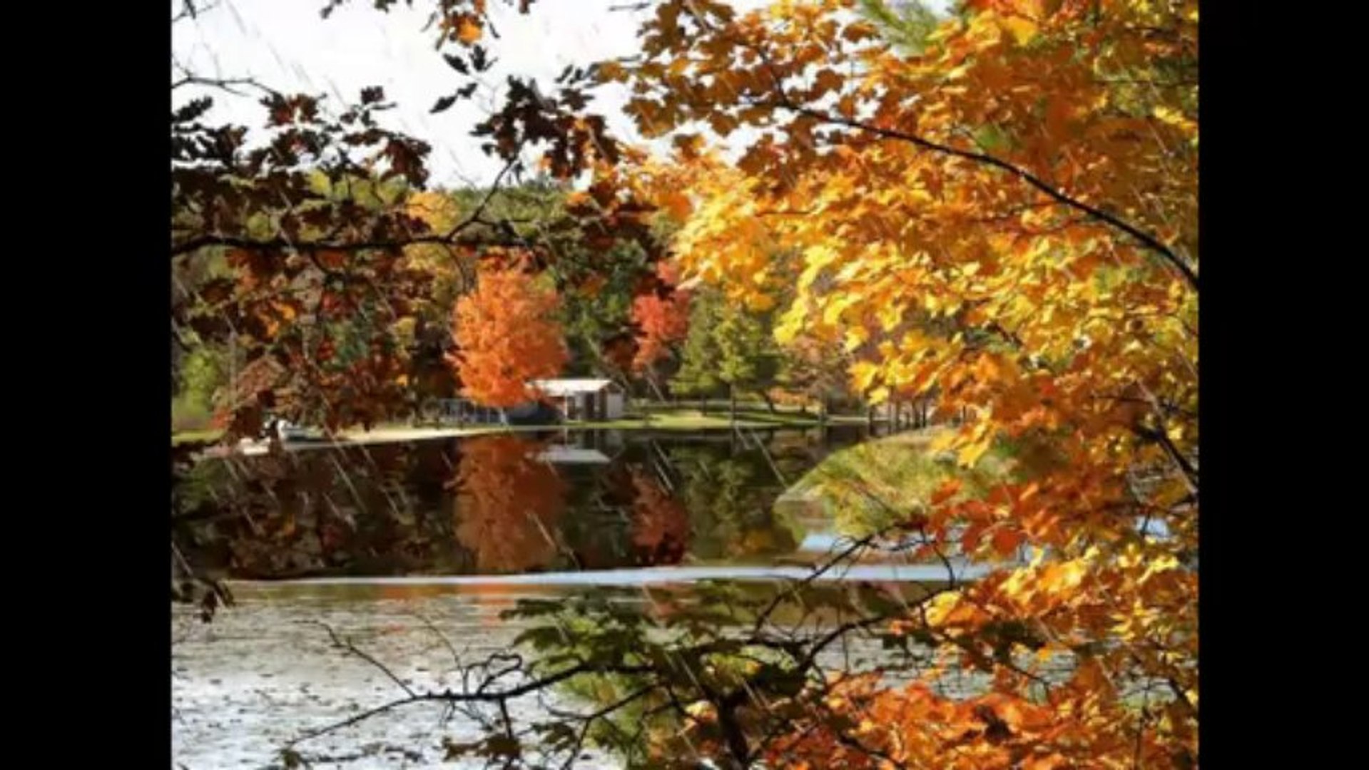 ⁣Музыка дождя... ...(музика Павел  Панин)