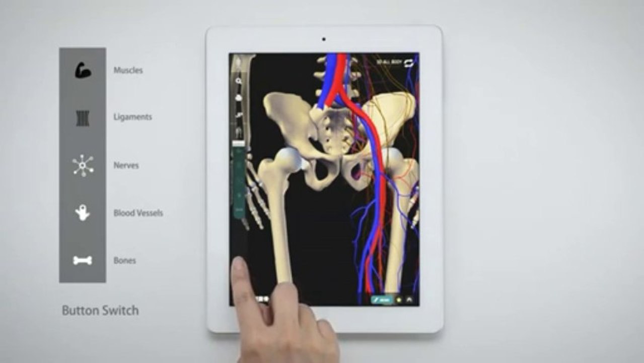 teamLabBody -3D Motion Human Anatomy- 3D ALL BODY MODE